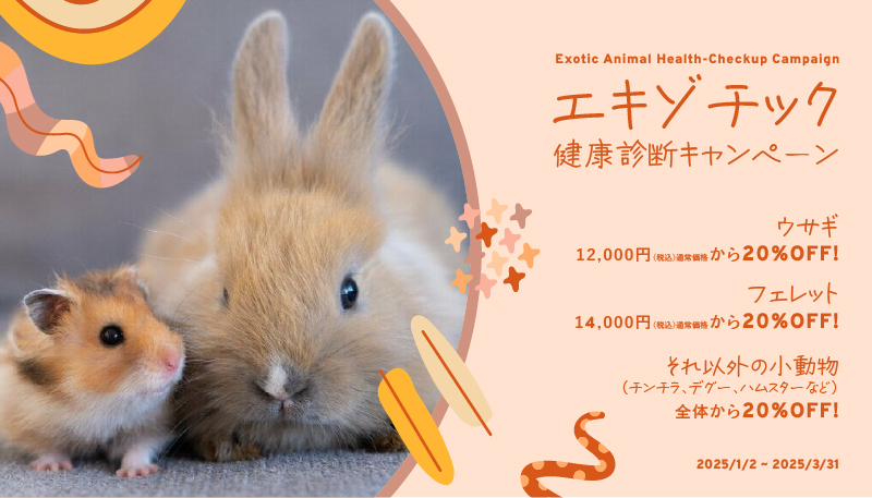 エキゾチック健康診断キャンペーン