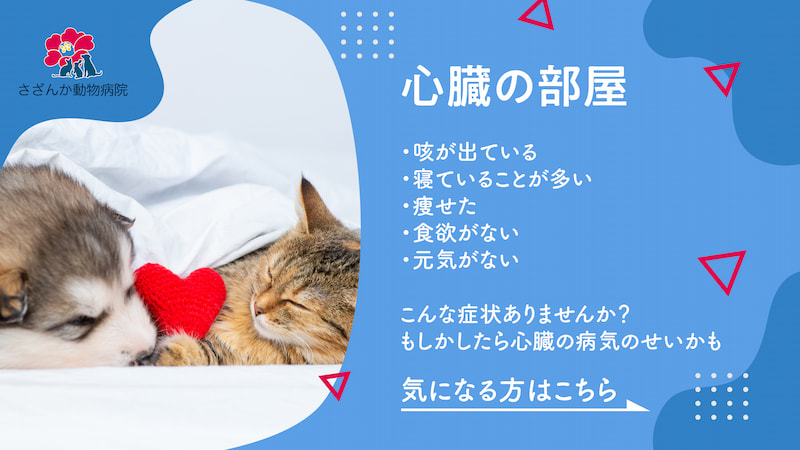 心臓の部屋
・咳が出ている
・寝ていることが多い
・痩せた
・食欲がない
・元気がない

こんな症状ありませんか？
もしかしたら心臓の病気のせいかも
気になる方はこちら
