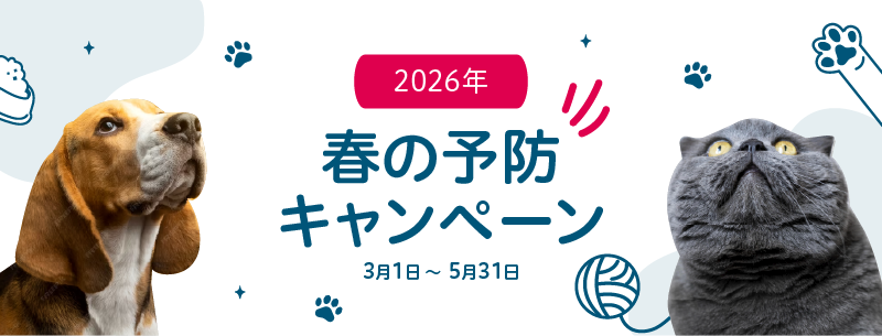 春の予防キャンペーン